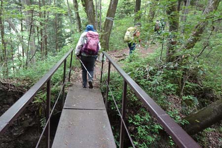 羊山公園から琴平丘陵・何故か登山道に鉄の橋