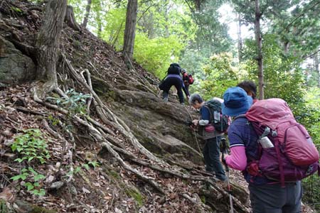 羊山公園から琴平丘陵・固定ロープもある岩場