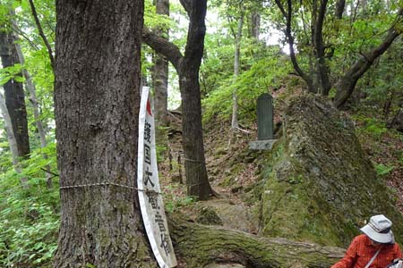 羊山公園から琴平丘陵・護国観音への登り坂