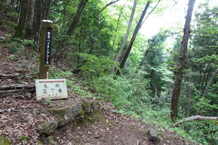 羊山公園から琴平丘陵・大渕寺へと下って行きます