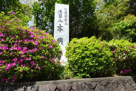 横浜市泉区・本興寺の参道に案内版
