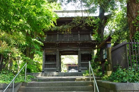 横浜市瀬谷区・瀬谷八福神の徳善寺