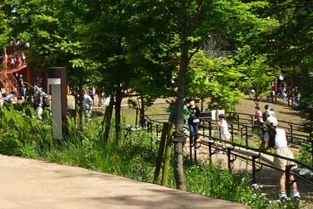 町田市・たくさんの人で賑わう鶴舞公園