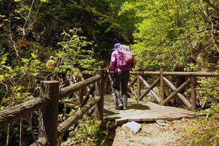 三頭山・三頭大滝から登山道が始まります