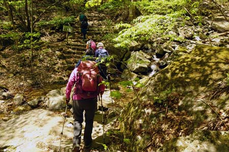 三頭山・三頭沢に沿いの登り