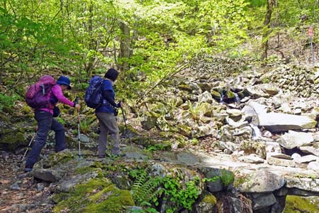 三頭山・小さな渡渉を繰り返し