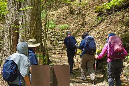 三頭山・三頭沢テラスからも沢沿いの道
