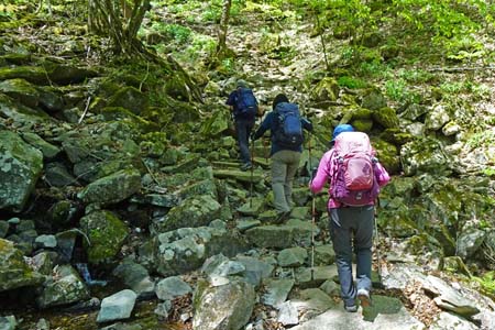 三頭山・新緑の沢を登り