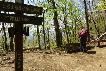 ムシカリ峠