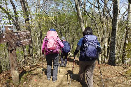 三頭山・鞘口峠を目指して下ります
