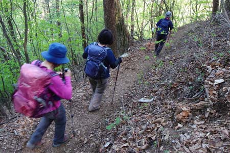 三頭山・ジグザグと斜面を下り