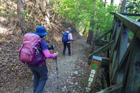 三頭山・鞘口峠のテラスの脇を下り
