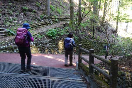 三頭山・炭焼き小屋からの道を合わせ