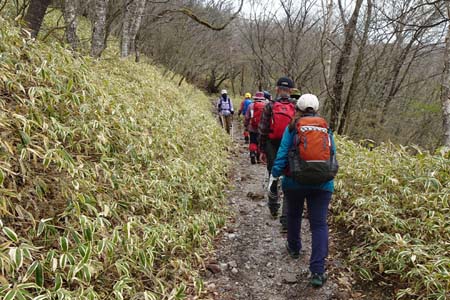 長七郎山・笹の登山道を登って行きます