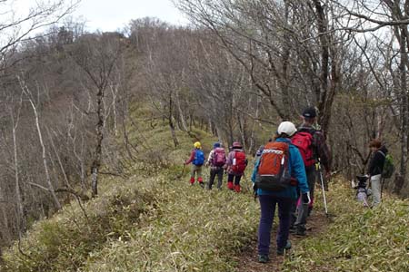 長七郎山・笹の尾根道はまだ芽吹きには早い