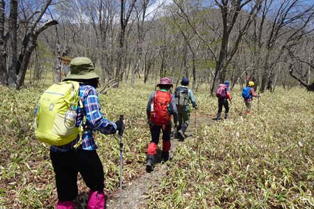 長七郎山・おとぎの森から笹の道を登り