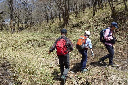 長七郎山・茶ノ木畑峠への分岐