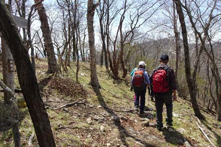 長七郎山・つつじヶ峰通りへの道を左に分け