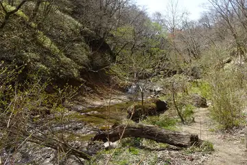 粕川