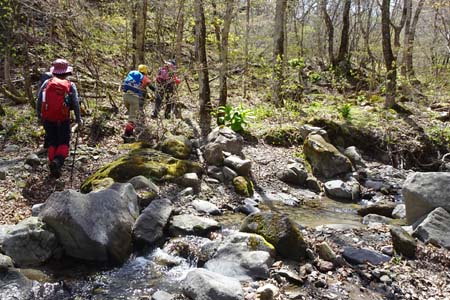 長七郎山・沢沿いの踏み跡を探し