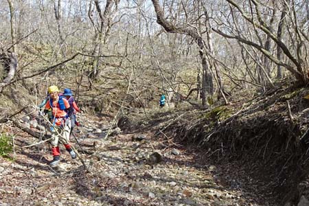 長七郎山・枯れた沢は倒木が多く