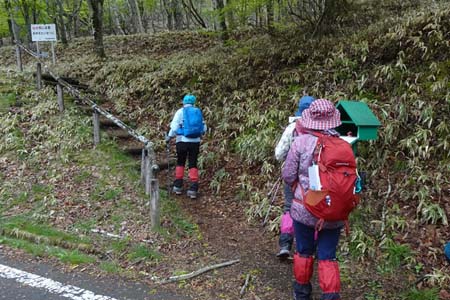 雁ヶ腹摺山からシオジの森・雁ヶ腹摺山の登山口