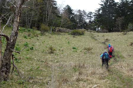 雁ヶ腹摺山からシオジの森・カヤトの斜面を登ると雁ヶ腹摺山の山頂