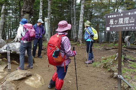 雁ヶ腹摺山からシオジの森・雁ヶ腹摺山の山頂