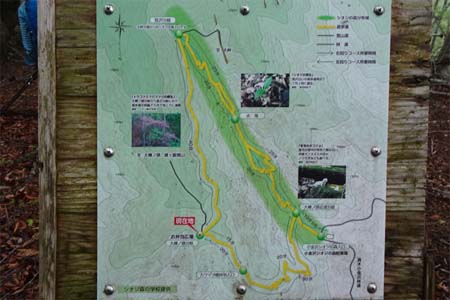 雁ヶ腹摺山からシオジの森・たどり着いたお弁当広場