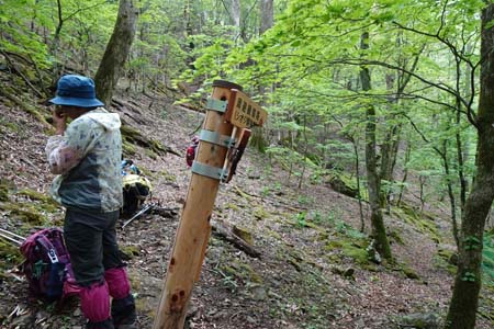 雁ヶ腹摺山からシオジの森・長沢分岐