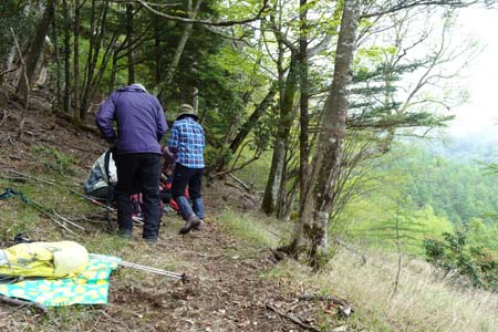 雁ヶ腹摺山からシオジの森・展望が開ける道端に腰を下ろし