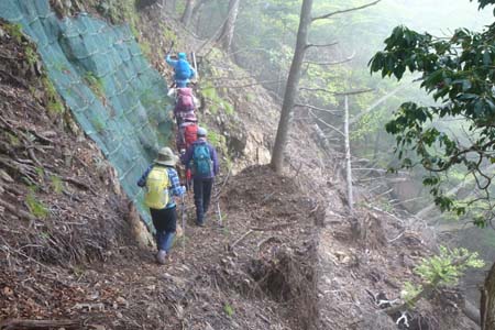 雁ヶ腹摺山からシオジの森・右手が崩壊しています