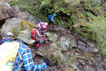雁ヶ腹摺山からシオジの森・最後の沢を渡り