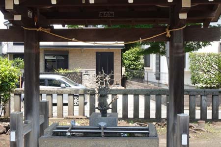 町田市・杉山神社の御手水場