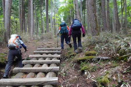 笠取山・木の橋などの整備がされています