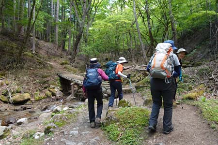 笠取山・木の橋で流れを渡り