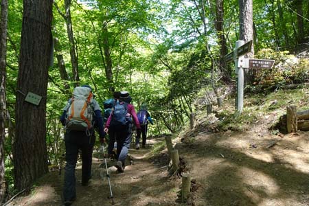 笠取山・一休坂への道を右に分け