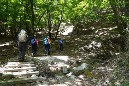 笠取山・小さな流れを渡り