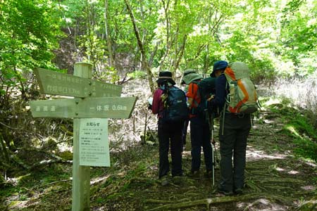 笠取山・一休坂から登って来る道を合わせ