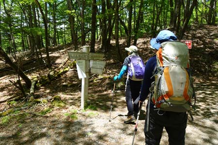 笠取山・たどり着いたヤブ沢峠