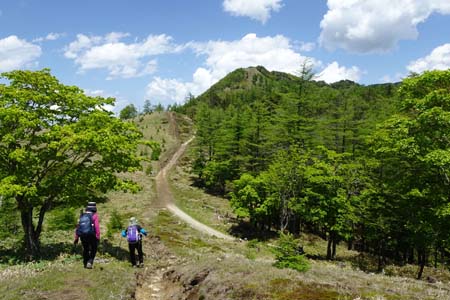 笠取山・明るい稜線の道を登り