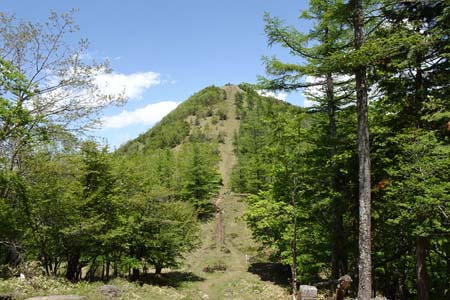 笠取山・見上げる笠取山への直登