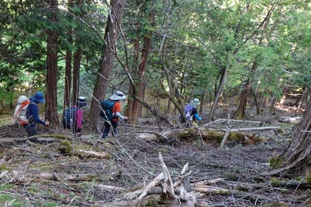 笠取山・雑木林の中を下って行きます