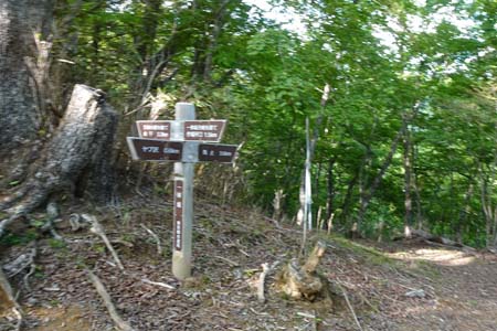 笠取山・一休坂