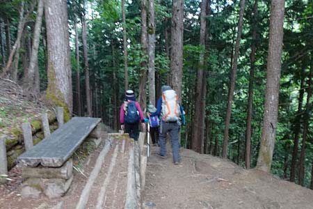 笠取山・樹林帯の中を下って行きます