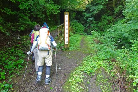 白岩滝から南沢あじさい山・階段を登ると雨乞橋