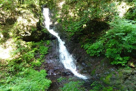 白岩滝から南沢あじさい山・白岩の滝
