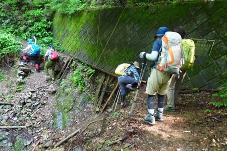 白岩滝から南沢あじさい山・崩壊地には丸太がかかっていました