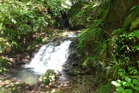 白岩滝から南沢あじさい山・小滝がかかっています