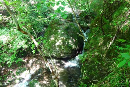 白岩滝から南沢あじさい山・瀬音を立てる流れも細くなり